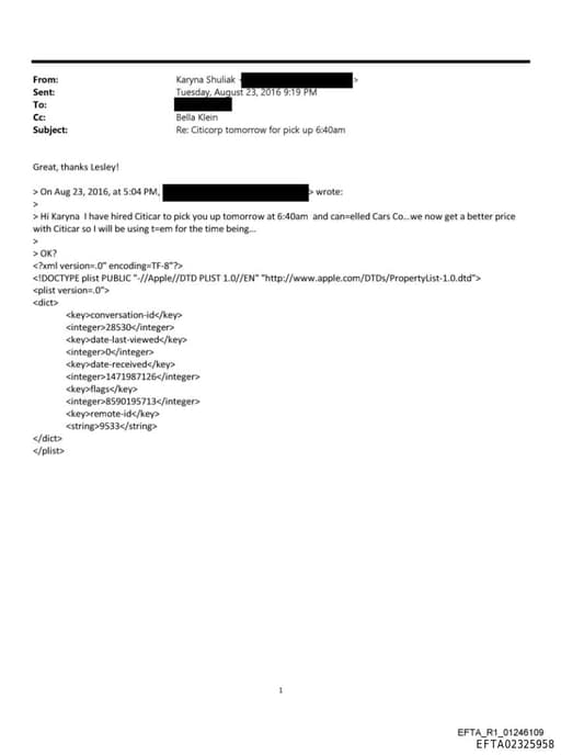 Preview of EFTA02325958