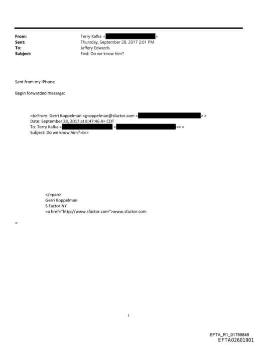 Preview of EFTA02601901