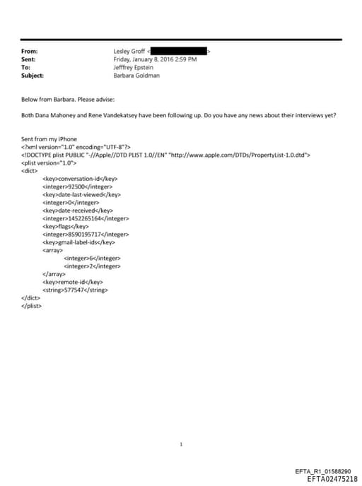 Preview of EFTA02475218