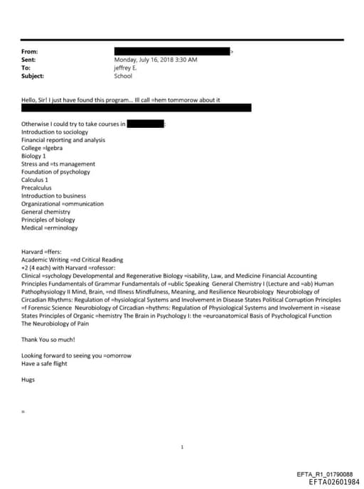 Preview of EFTA02601984