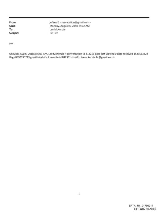 Preview of EFTA02602046