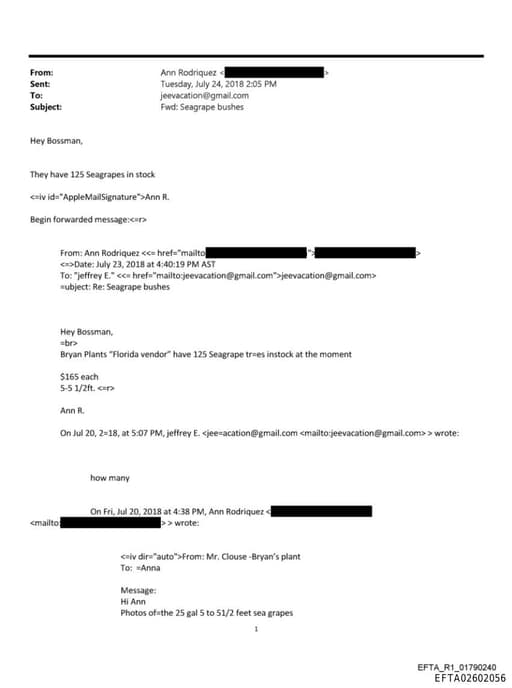 Preview of EFTA02602056