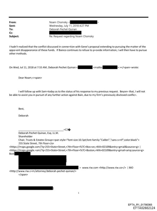 Preview of EFTA02602124