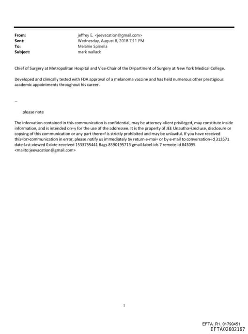 Preview of EFTA02602167