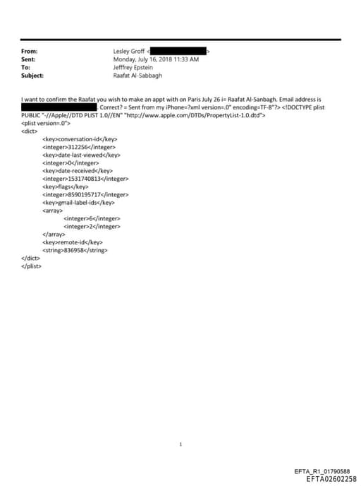 Preview of EFTA02602258