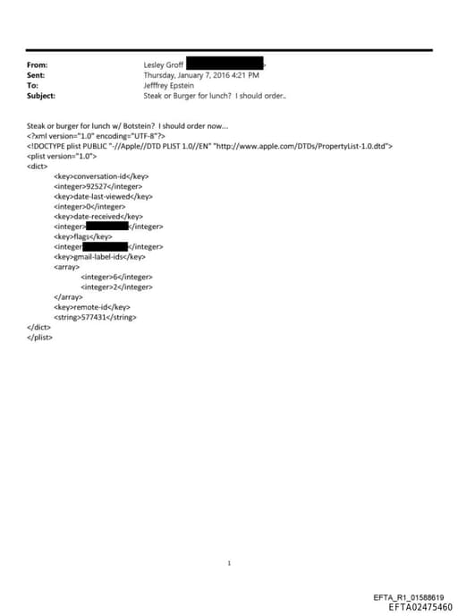 Preview of EFTA02475460