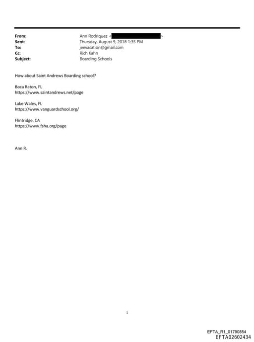 Preview of EFTA02602434