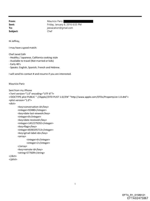 Preview of EFTA02475867