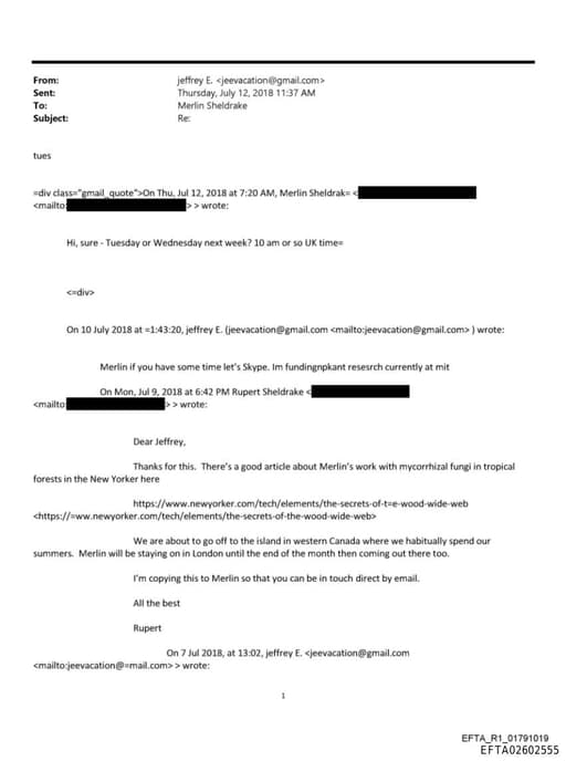 Preview of EFTA02602555