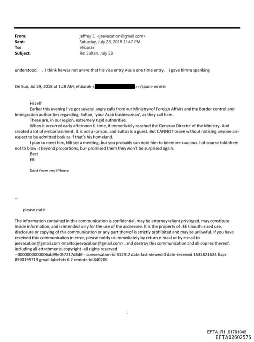 Preview of EFTA02602575