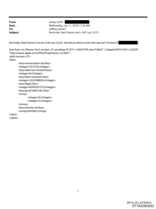 Preview of EFTA02603052