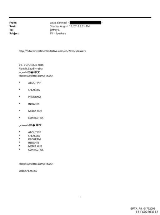 Preview of EFTA02603142