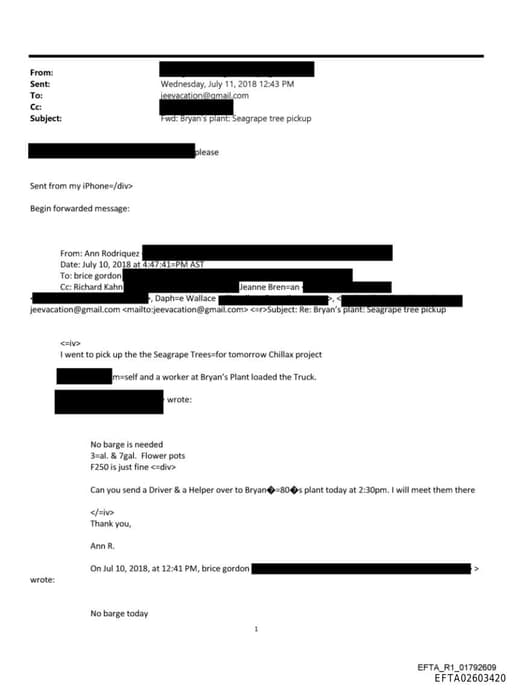 Preview of EFTA02603420