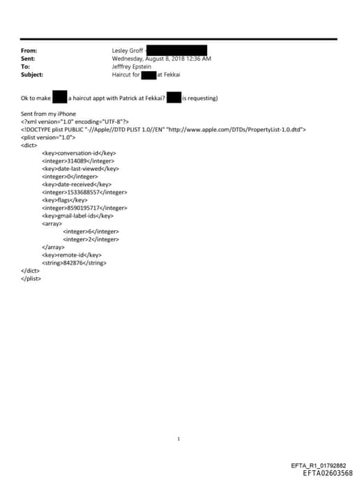 Preview of EFTA02603568