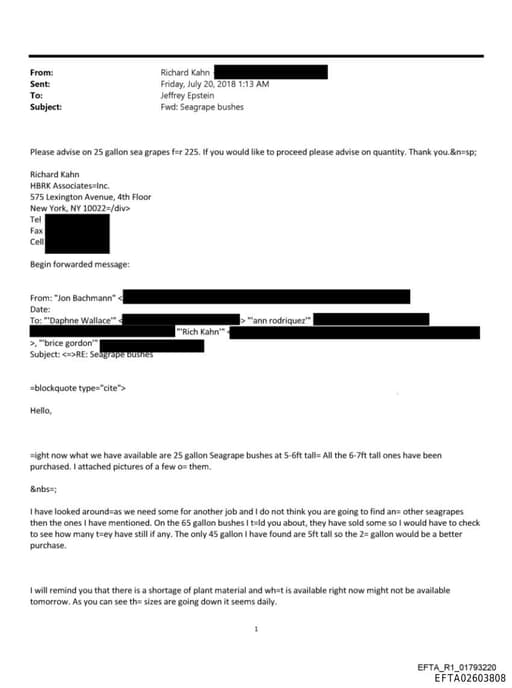 Preview of EFTA02603808