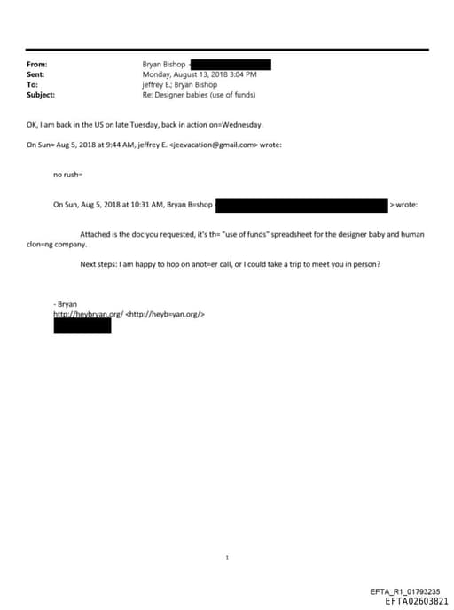 Preview of EFTA02603821