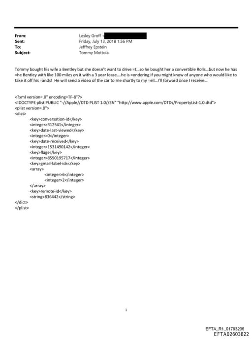 Preview of EFTA02603822