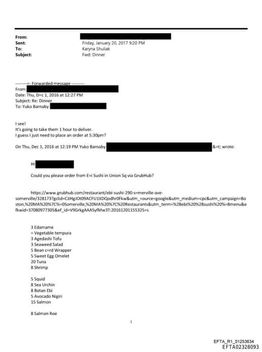 Preview of EFTA02328093