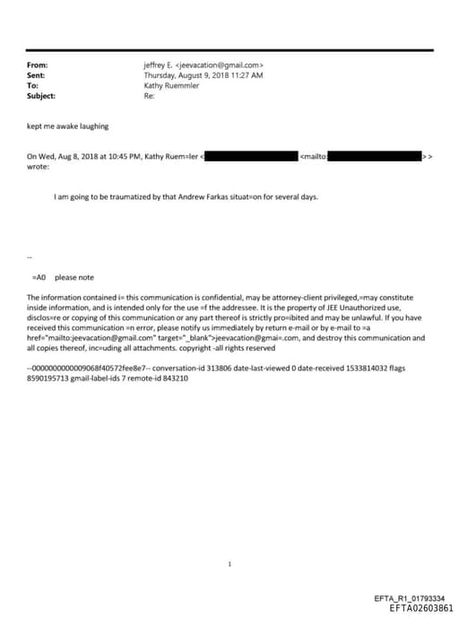 Preview of EFTA02603861