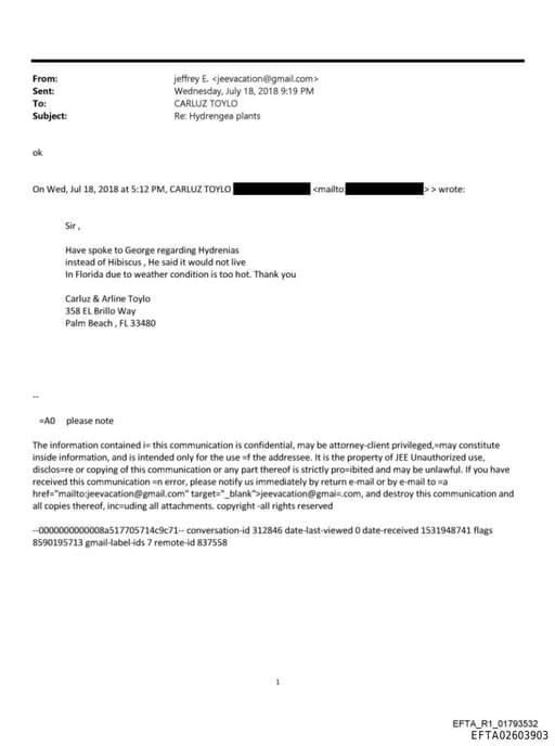 Preview of EFTA02603903