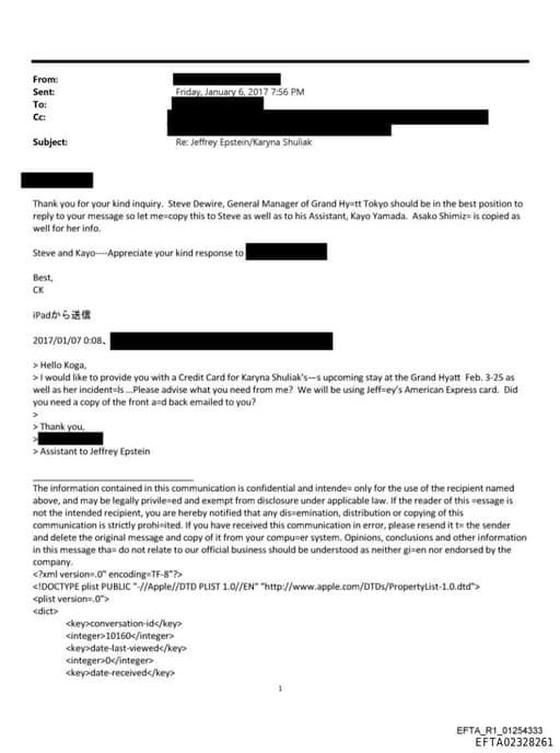 Preview of EFTA02328261