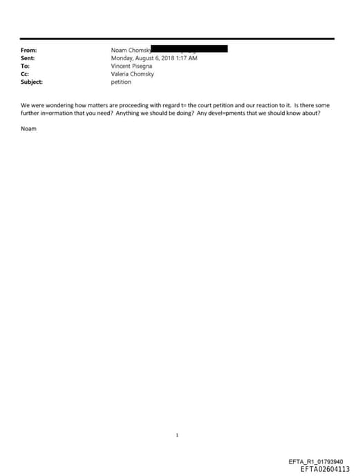 Preview of EFTA02604113