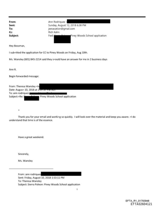 Preview of EFTA02604121