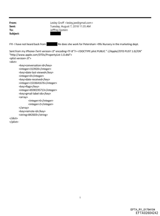 Preview of EFTA02604242