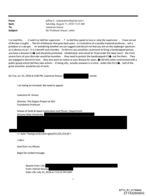 Preview of EFTA02604643