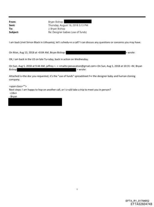 Preview of EFTA02604748