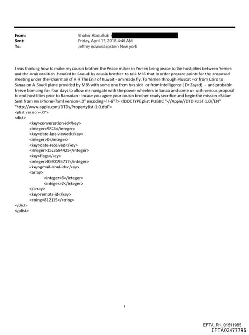 Preview of EFTA02477796