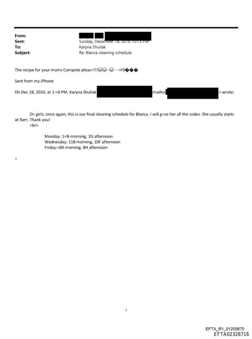 Preview of EFTA02328716