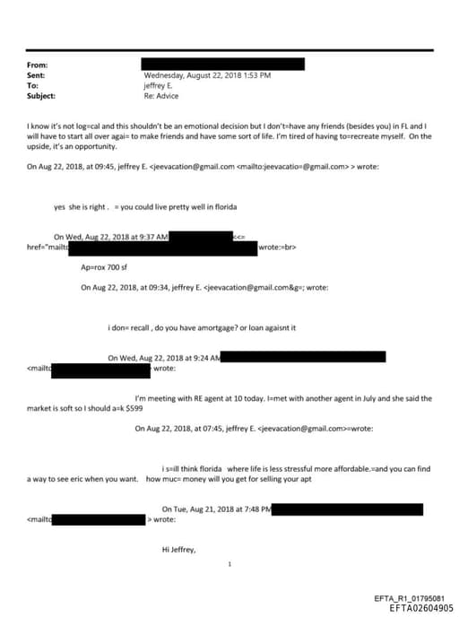 Preview of EFTA02604905