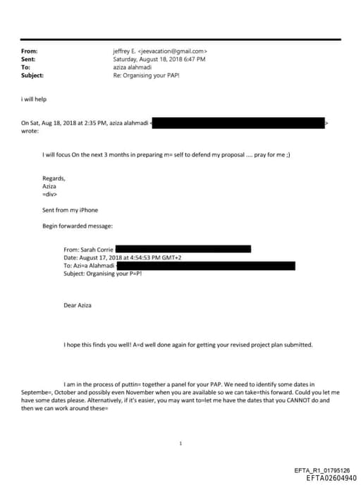 Preview of EFTA02604940