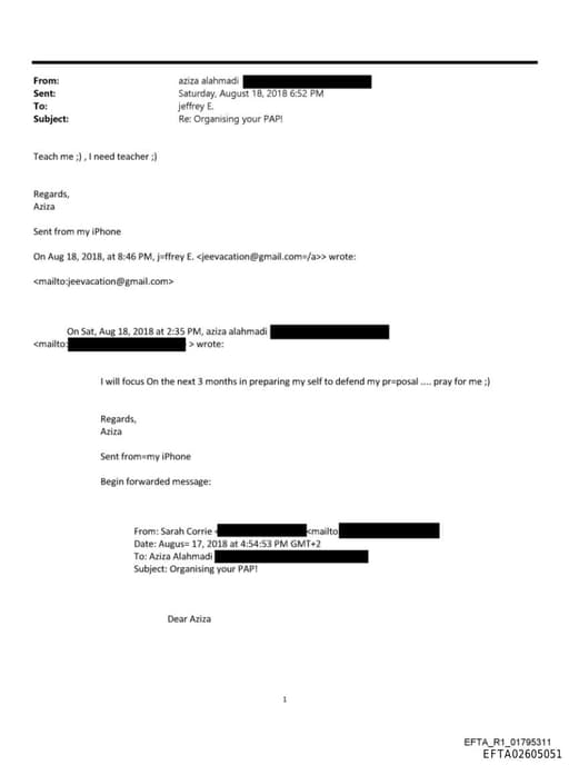 Preview of EFTA02605051