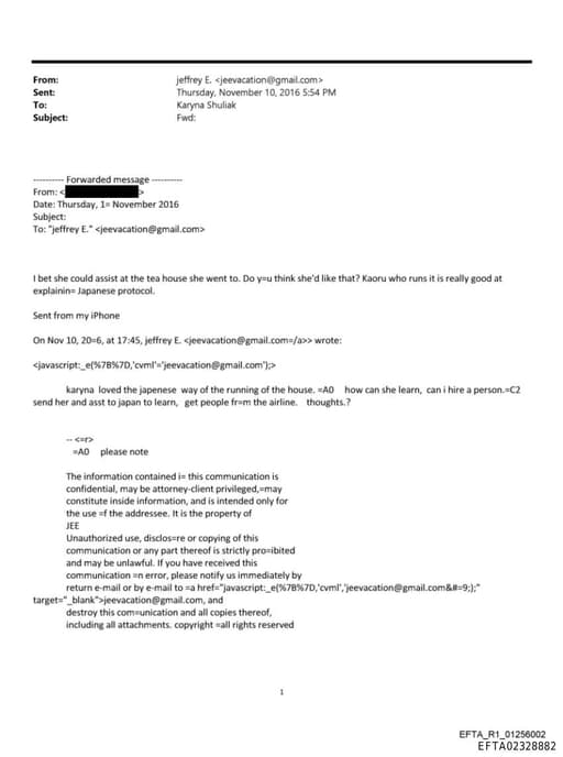 Preview of EFTA02328882