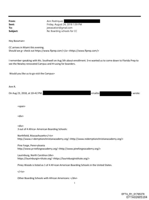 Preview of EFTA02605104