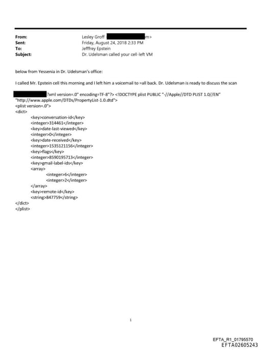 Preview of EFTA02605243