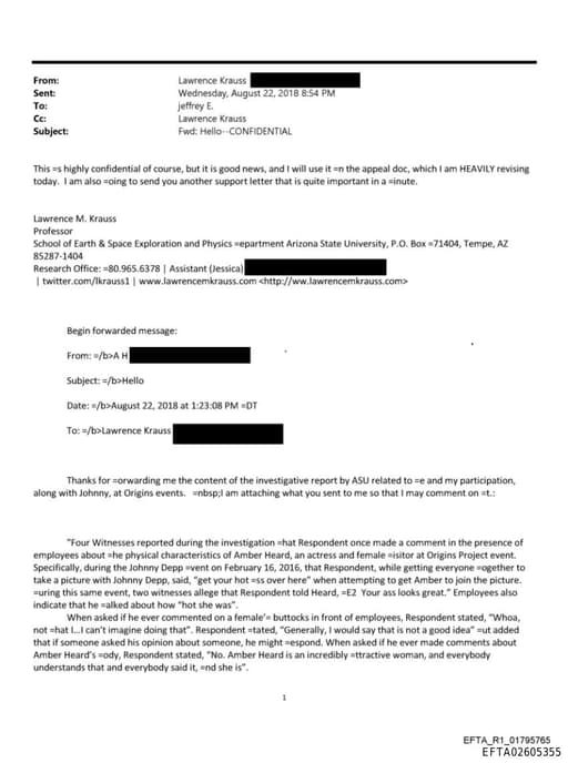 Preview of EFTA02605355