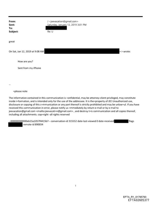 Preview of EFTA02605377