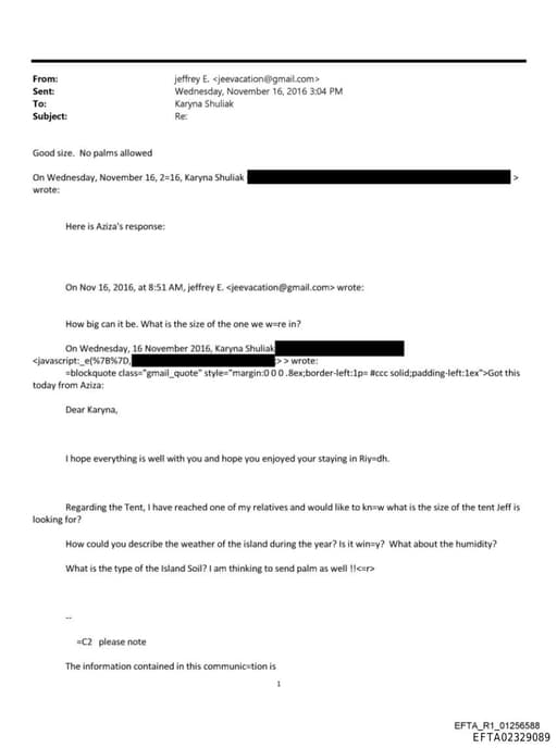 Preview of EFTA02329089