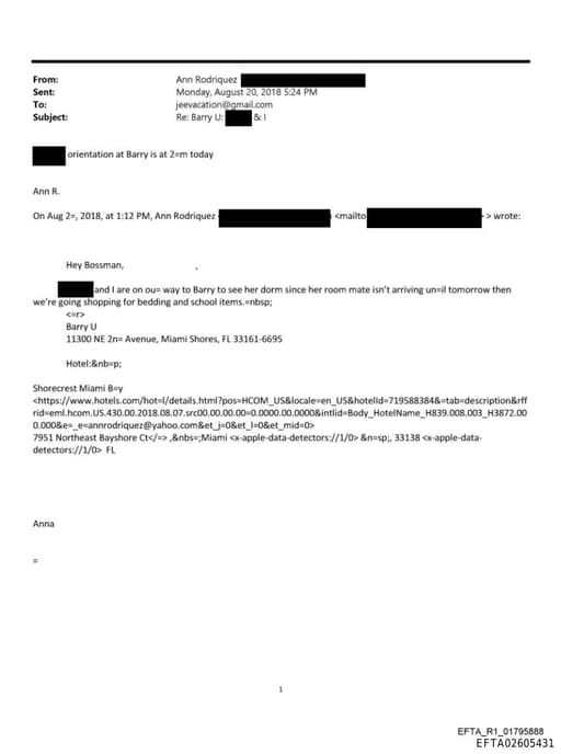 Preview of EFTA02605431