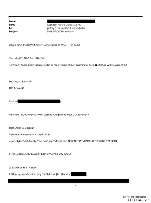 Preview of EFTA02478595