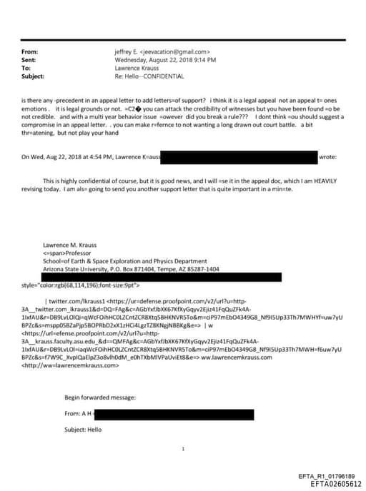 Preview of EFTA02605612