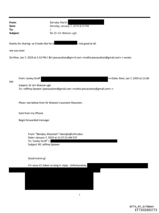 Preview of EFTA02605773