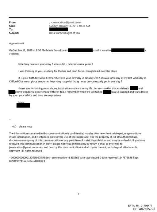 Preview of EFTA02605798