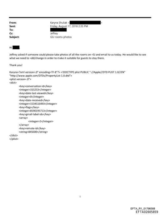 Preview of EFTA02605859