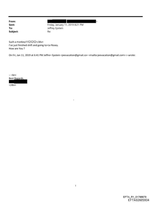 Preview of EFTA02605934