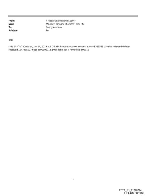 Preview of EFTA02605989