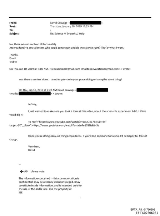 Preview of EFTA02606061